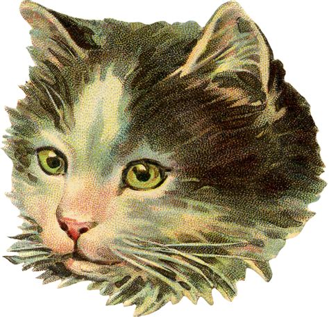 vintage cat illustration|vintage cat clip art.